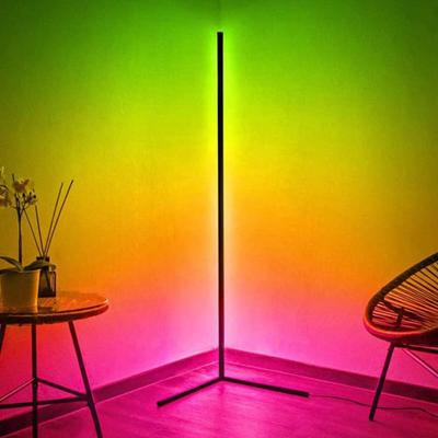 China Atmosphere Muod 358 Dimmable Lamp Colored Home Decor Modern Stand Light Corner Led Floor Lamp With Remote Control for sale