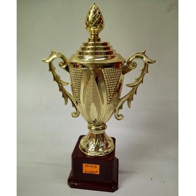 China All Over The World Professional Factory Supplier Different Size Plastic Custom Sports Trophy for sale