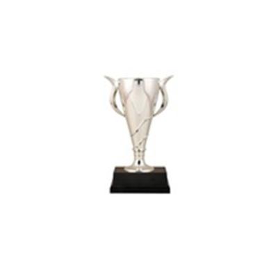 China All over the world China factory good quality souvenir gift wholesale plastic trophy new next big for sale