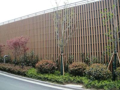 China External WPC House Wall Cladding Panel For Outdoor Decoration for sale