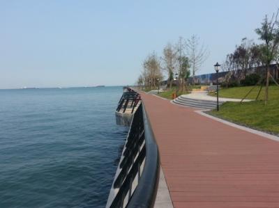 China Environmental - Friendly WPC Deck Flooring for Walk Road and Seaside for sale