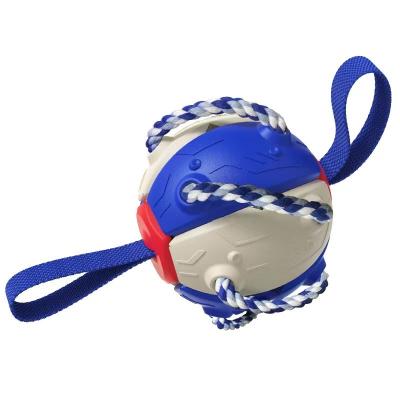 China Durable New Arrival High Quality Classic Design Nylon Rope Interactive Dog Chases Running Toy for sale