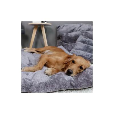 China Removable And Washable Sustainable New Product Comfortable Fabric Thickened Non Heat Stick Hair Plush Pet Blanket for sale