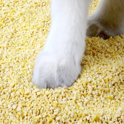 China Sustainable Pet Supplies Water Soluble Bulk Quickly Dissolve Crumbs To Form Millet Litter For Cat for sale