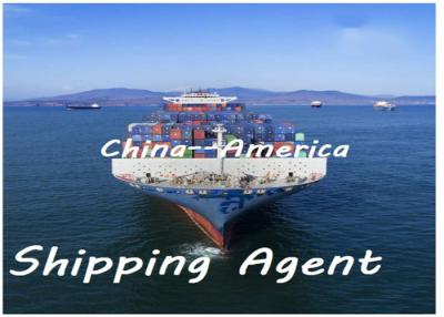 China Door To Door DDU Shipping From China To Netherlands USA UK Denmark for sale