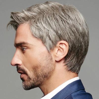 China Customizable gray brown European and American aliexpress border wig male cabello de peluca ponytail wig factory direct sales wig for sale