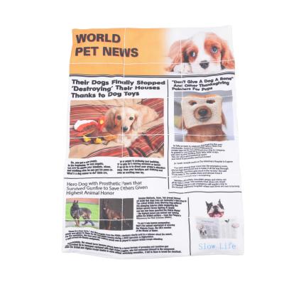 China Wholesale Durable Dog Squeaky Chew Toy Pet Toy Newspaper for sale