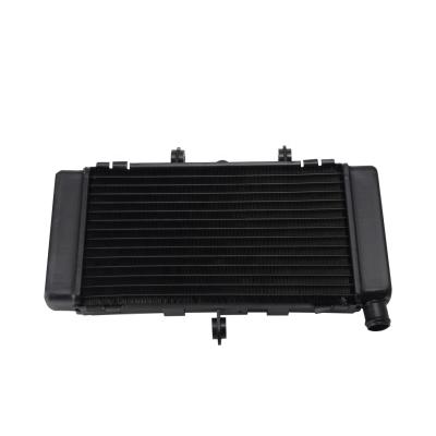 China Accessories Aluminum Engine Motorcycle Coolant Aluminum Cooling Radiator For HONDA CB250 Jade MC23 for sale