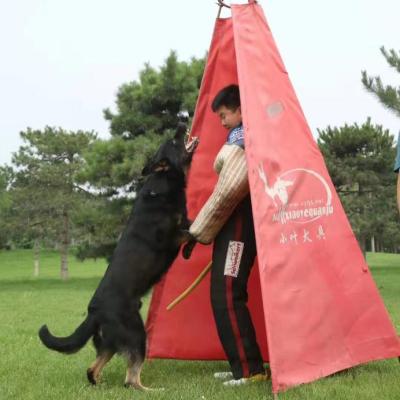 China Stocked Training Dog Utility Dog Large Blind For IPO for sale