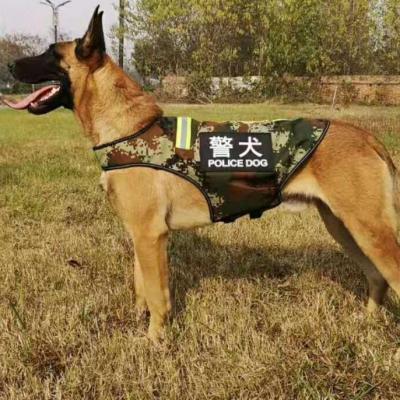 China Tactical ARMED dog camouflage k9/viable black/orange for sale