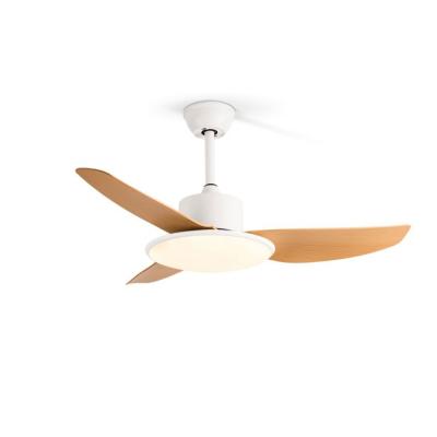 China Energy Saving Exhaust Simple Modern Silent Ceiling Fan Lights And Remote 220V for sale