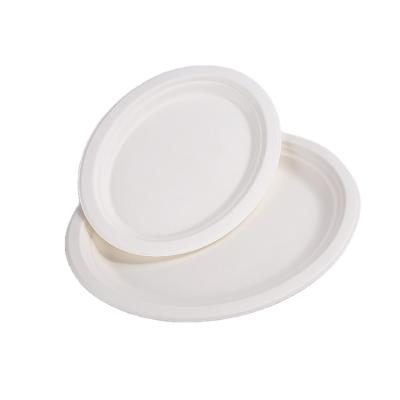 China Eco-Friendly and Oil-proof Bagasse 12.5inch Oval Biodegradable Disposable Candy Cane 10in Dinnerware Supply Dishes for sale