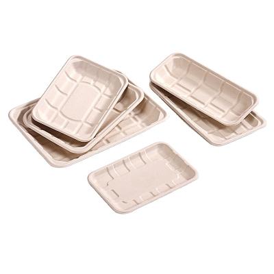 China Factory direct sale casual arrange bagasse sugar cane tray for vegetable meat and fruit for sale