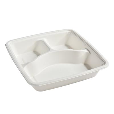 China Sustainable Sugar Cane Paper Tableware Square Bagasse Packaging Food Container Box for sale