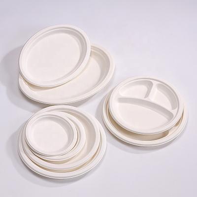 China 6 Inch Flat Bagasse Disposable Packaging Bagasse Round Eco Friendly Biodegradable Dish for sale