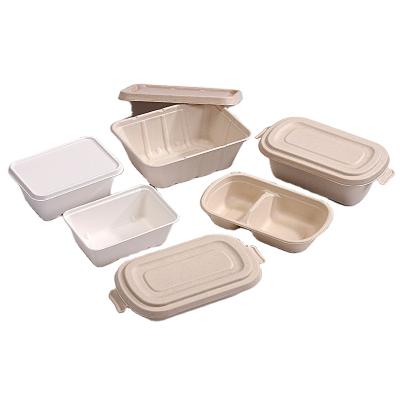 China CLASSIC factory direct bagasse sugar cane paper biodegradable food container for sale