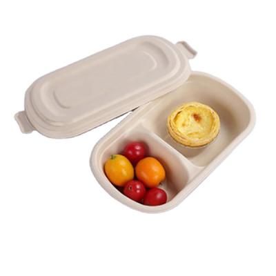 China Food 750 Sugarcane 1000ml Eco-friendly Biodegradable Fiber Bagasse Food Container for sale