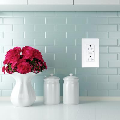 Chine LD -U001 4.2A Chargeur USB intelligent à grande vitesse Sortie 2 ports USB avec 2 plaques murales à vendre