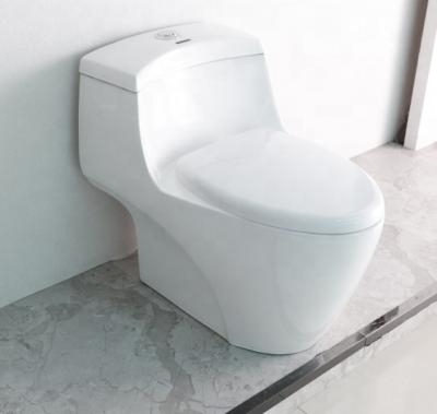 China Double-flush toilet WC take care hot sale toilets made in China SA-2269 for sale