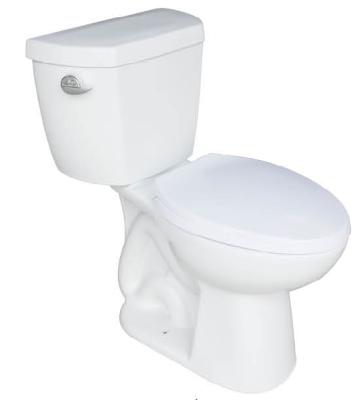 China Ceramic White Color WC Double-Flow Bathroom Cheap Toilet SA-2173 for sale