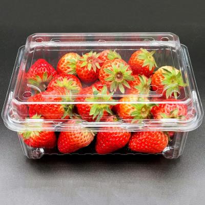 China Recyclable Strawberry Plastic Clear Packing Crate Box For Fruits for sale