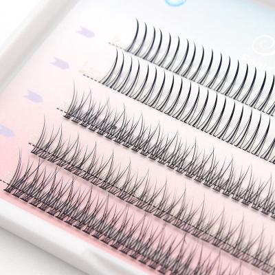 China 3d Fairy False Eyelashes Segmented Eyelashes One False Mfalse Natural Roll Grafted Eyelashes for sale