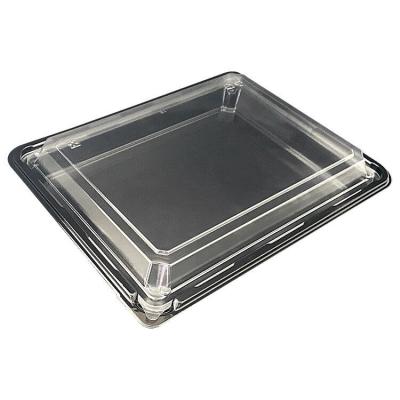 China Sushi Container Box Trays Disposable Packaging Trays With Plastic Lid Best Price Disposable Bowls Standard PET Packing Carton for sale