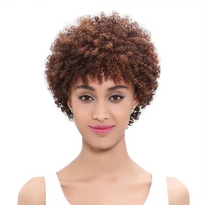 China Short Afro Kinky Curly Curly Wig Professional Front Closure Hair Waterwave Curly Lace Wig for sale