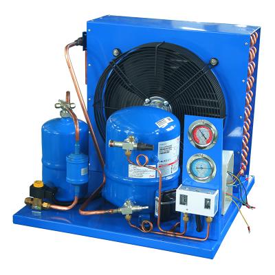 China Container 3 HP 1HP 4 HP Maneurop Compressor Condensing Unit For Cold Room Storage for sale