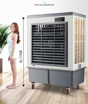 China Hotels Evaporative Air Cooler For Factory And Farm Use Hotels, Garment Shops, Building Material Shops, Manufacturing Pla for sale