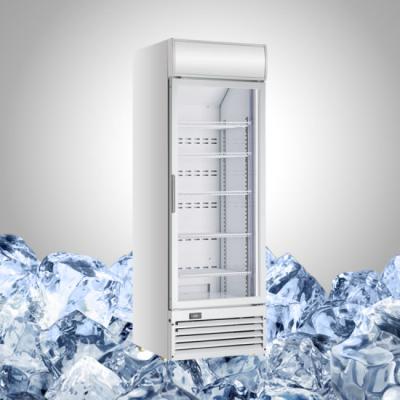 China Single-temp factory outlet! Vertical Refrigeration Equipment for Commercial Restaurant Kitchen Freezers for sale