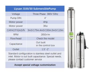 China Developing World Water Solutions Liyuan 4 Inch ATA Pump J100/30 Series 4hp 3Kw 200m Motor Three Phase Solar Submersible Water Pump for sale