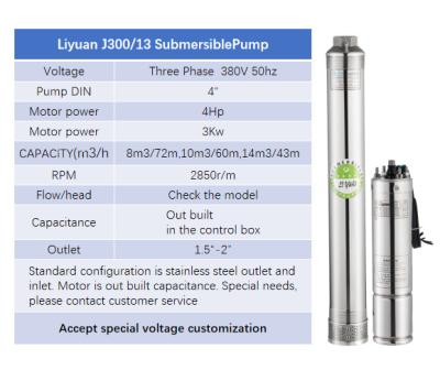 China Developing World Water Solutions Liyuan 4 Inch ATA Pump J300/13 Series 4hp 3Kw 6/10/14/m3h 46m Motor Three Phase Solar Submersible Water Pump for sale