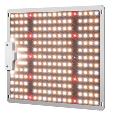 China Button Dimming 50%/75%/100% Supply Available in Full Spectrum 720W 645W 430W 480W 240W 120W US LED Grow Light for sale