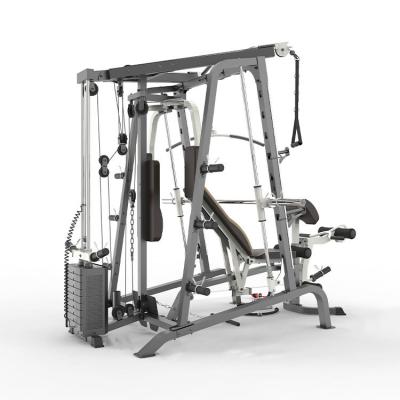 China Multi Functional Gym Machine for Modern Gym Body Building Fitness Equipment N.W. 49kg for sale