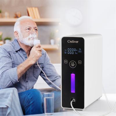 China Sale 2L Factory Price ABS Full Shell Portable Oxygen Concentrator Mini Portable Home Use Oxigen Plastic Oxygen Generator For Car for sale