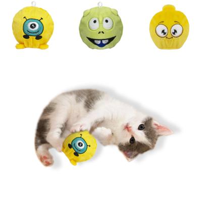 China 2022 New Pet Supplies Cat Squeaky Toys Durable Dog Chew Toy Set for sale