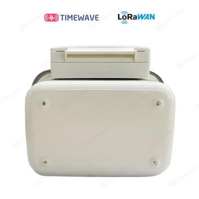 China Wall Mounted Direct Connect Pre Payment Type LoRaWAN Gas Meter With 300bps-50kbps Data Rate à venda