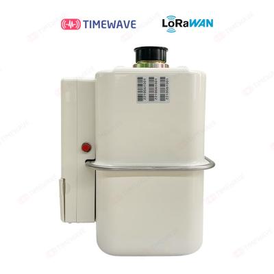 Cina Wireless LoRaWAN Gas Meter with LCD 300bps-50kbps Data Rate and 3000m Reading Distance in vendita