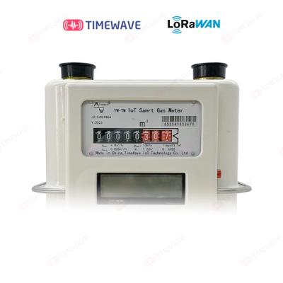 China LoRaWAN Gas Meter For Direct Connected Wall Mounted Installation With Extended Battery Life for sale