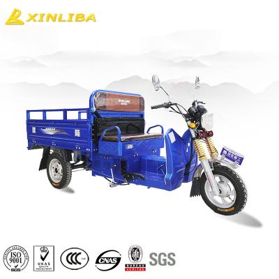 China Hot Selling Cargo Tricycle 125cc 3 Wheel Motorcycle for sale