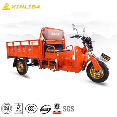 China Cargo bajaj auto three wheeler rickshaw price sale philippines for sale