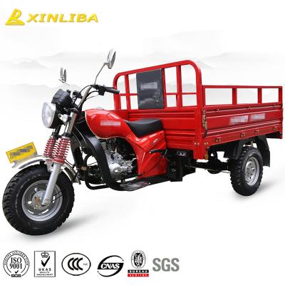 China Cargo Cart Big Wheel Bicycle Adult Tricycle for sale