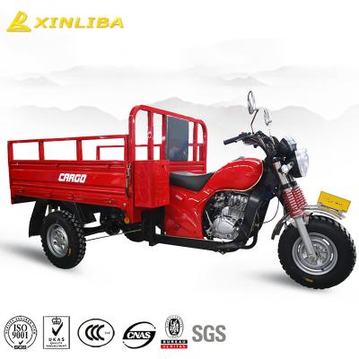 China Chinese Big Cargo Farm Gasoline Tricycle for sale