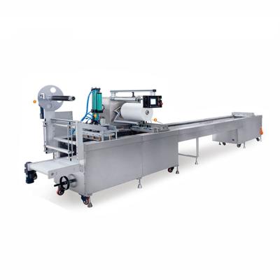 China Food Blister Packing Machine Soft Hard Blister Paper Package Syringe Packing Machine for sale