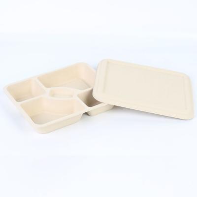 China Disposable Biodegradable 5 Compartment Tray Environmental Hot Selling Best Price Take Away Lunch Box for sale