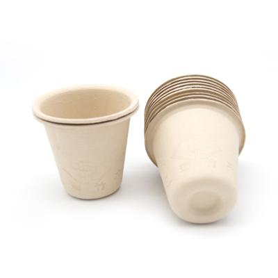 China Sustainable Environmental Product Bamboo Compostable Coffee Cups for sale