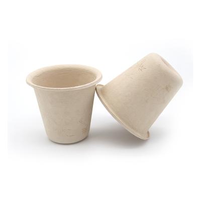 China Wholesale Disposable Food Container Tableware Bamboo Coffee Cup for sale