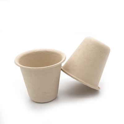 China Disposable Biodegradable Communion Non-foam Egg Soup Cup Bamboo Fiber Water Container for sale