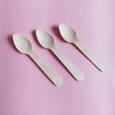 China 2021 170mm Factory Price Wholesale Disposable Natural Degradable Bamboo Mini Spoon For Ice Cream for sale